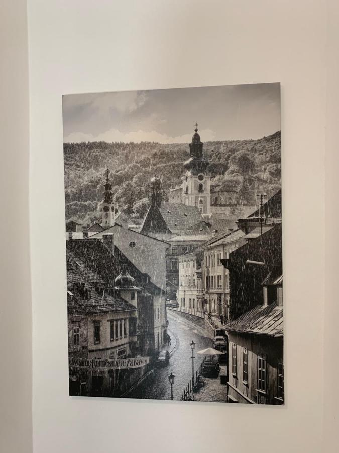 Apartman Pri Lyceu Banska Stiavnica Bagian luar foto